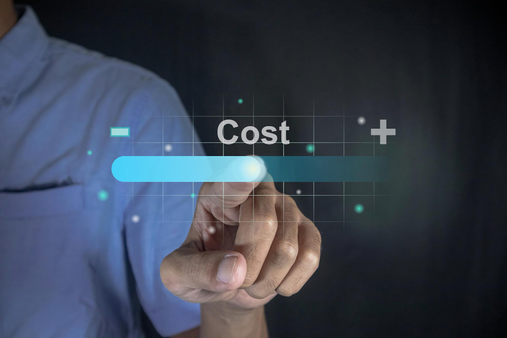 Total Cost of Ownership - Gesamtkosten einer Plattform